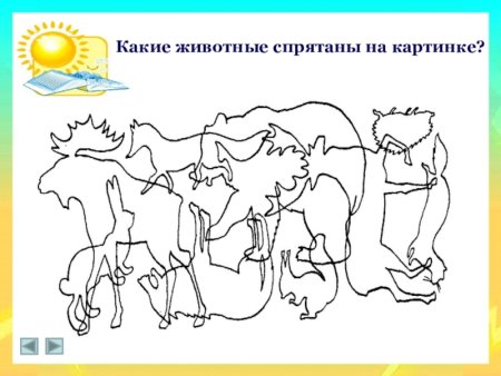 Какие животные спрятались на картинке