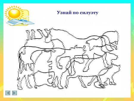 Наложенные контуры животных