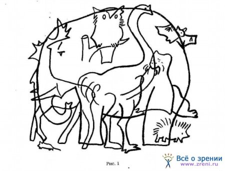 Наложенные контуры животных