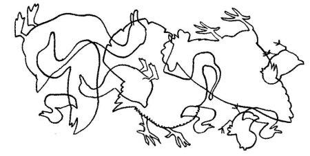 Наложенные изображения домашних птиц