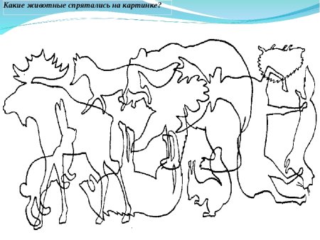 Узнай по контуру животных