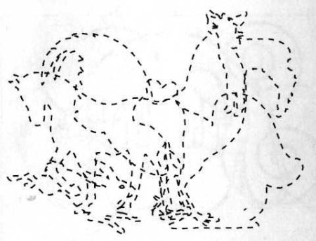 Обведи по контуру Дикие животные