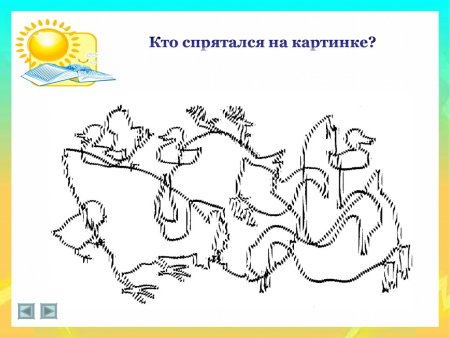 Наложенные изображения птицы