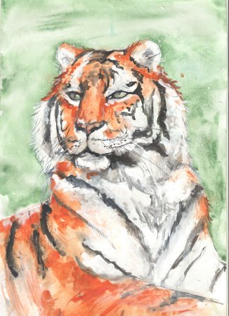 Горшков Амурский тигр