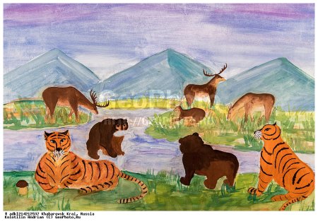 Рисунки о Хабаровском крае