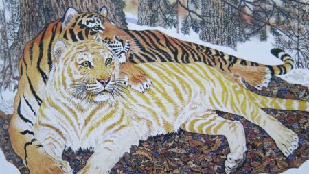 Золотая Ригма Павлишин