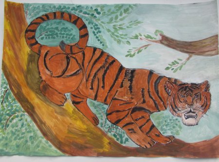 Амурский тигр срисовать