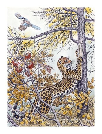 Горбатов художник анималист