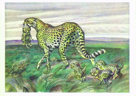 Гепарды древних изображениях