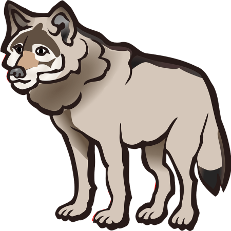 Изображение волка для детей