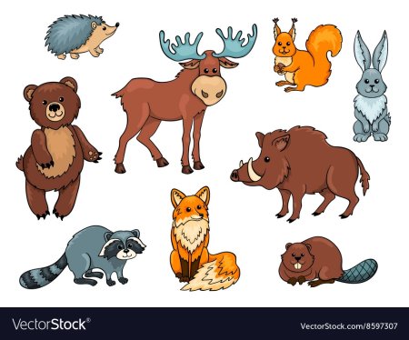 Животные леса вырезать для детей