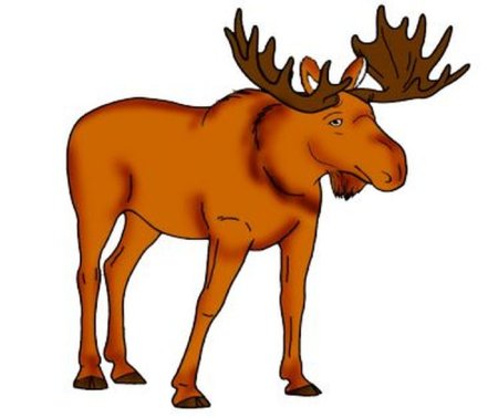 Лось для детей