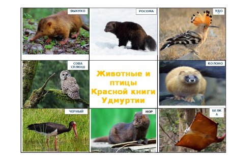 Животные из красной книги Удмуртии