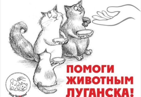 Рисунки бездомных животных