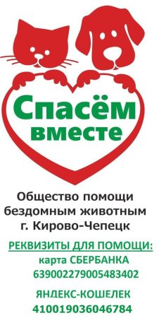 Помоги бездомным животным