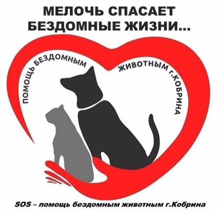 Поможем бездомным животным