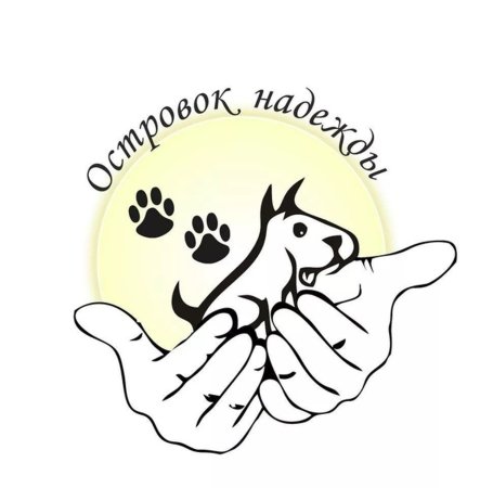 Приют для бездомных животных рисунок