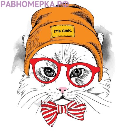 Кот в очках и шапке