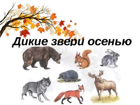 Дикие животные готовятся к зиме