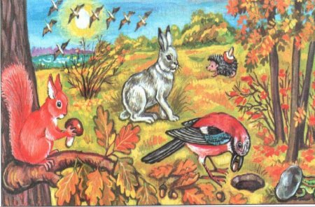 Звери готовятся к зиме