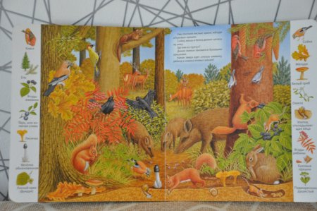 Дикие животные осенью детям