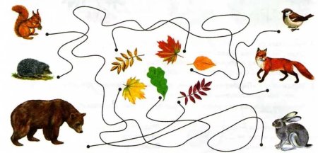 Занятие Дикие животные