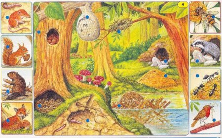 Домики лесных животных