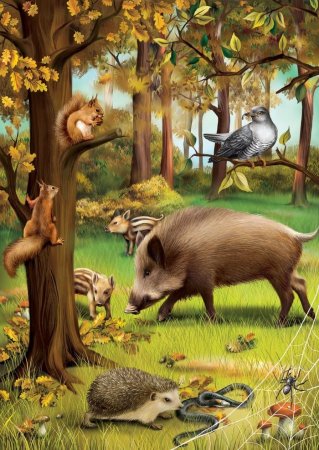 Лесные животные