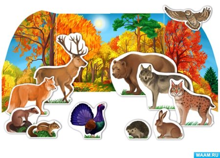 Макет Лесные животные