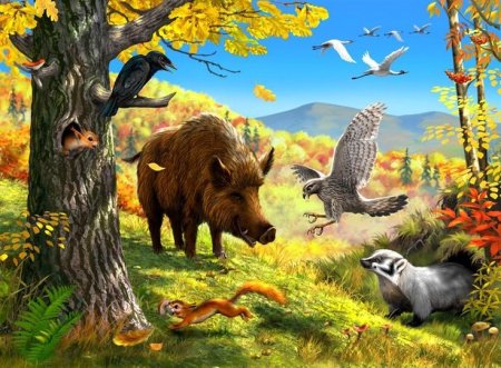 Картины по номерам Лесные звери