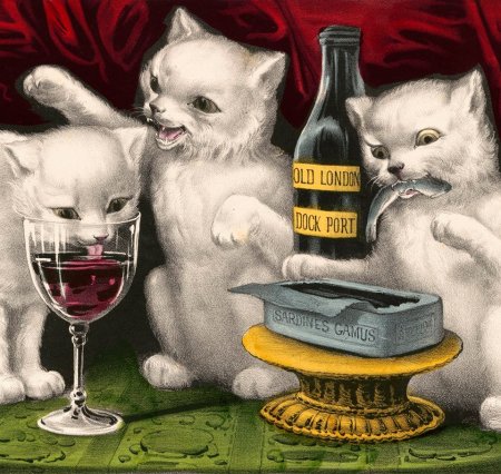 Весёлый кот алкоголь