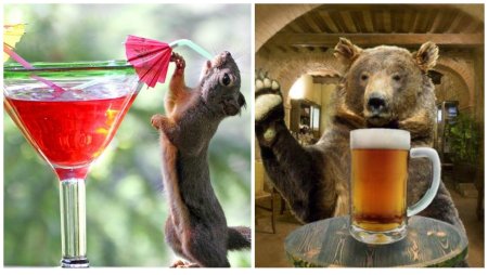 Карикатуры на зверей