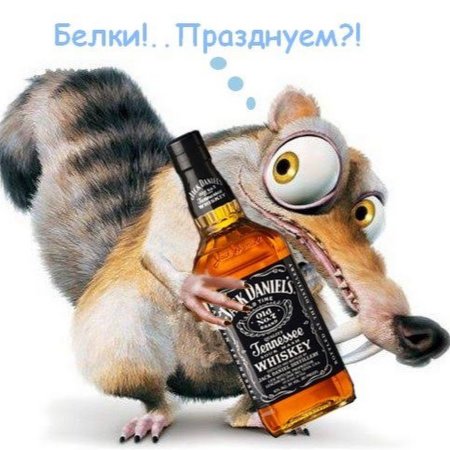 Волк бухает