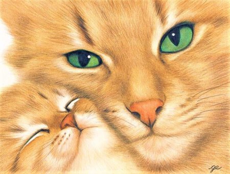 Мама кошка и котенок рисунок