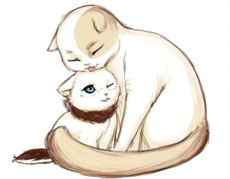Арты котов для срисовки