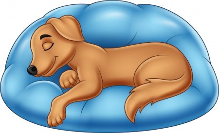 Мультяшная собака спит