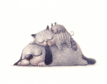 Спящий зверек рисунок