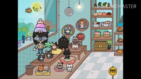 Кот из тока бока