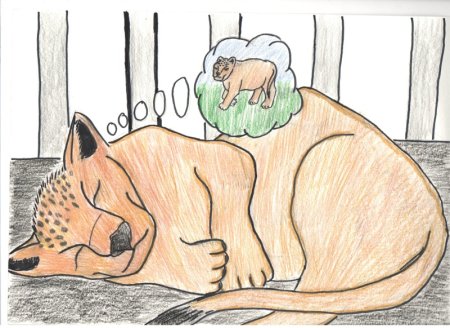 Сопереживание рисунок