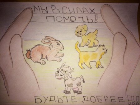 Рисунок сострадание к животным