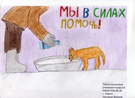 Рисунок на тему бездомных животных