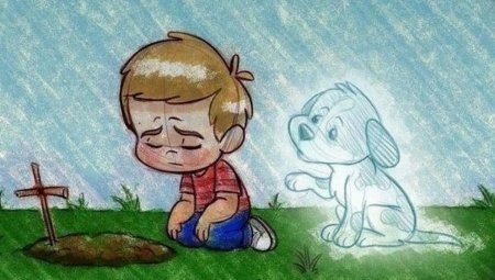 Смерть любимой собаки