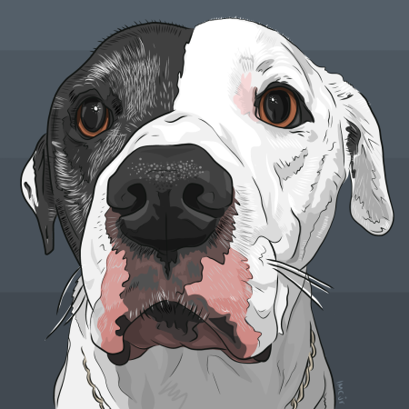 Иллюстрации в адоб иллюстратор