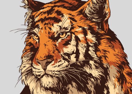 Тигр Графика