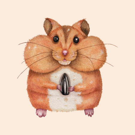 Хомяк рисунок