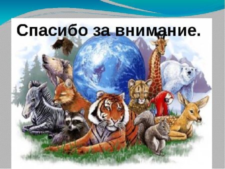 Защита природы и животных