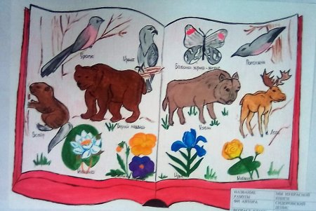 Красная книга рисунок