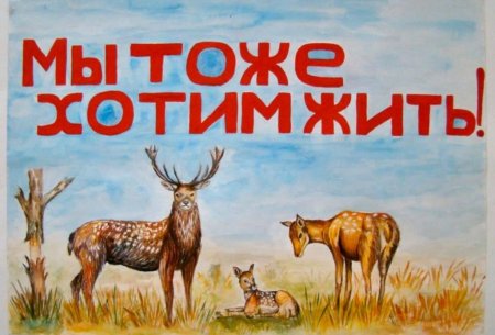 Плакат берегите животных рисунок