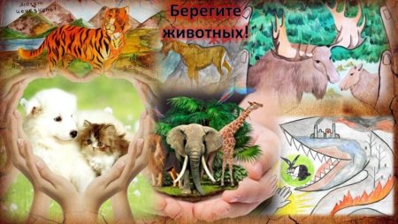 Нарисуй плакат берегите животных