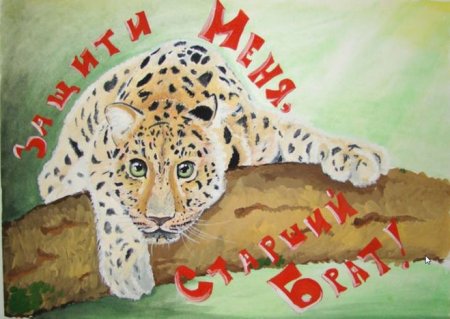 Плакат в защиту редких животных